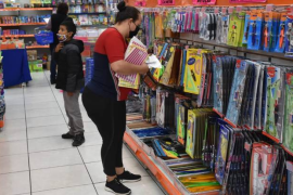 Analizó 29 cuadernos, 13 gomas blancas, 10 pegamentos líquidos, 10 barras adhesivas, 15 lápices, 11 bolígrafos, 10 tijeras y 8 reglas de plástico