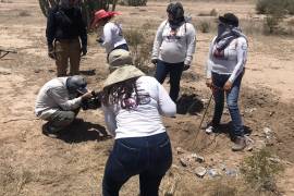 El 13 de enero, Ceci Patricia Flores Armenta anunció a través de su cuenta que el colectivo de Madres Buscadora había localizado al menos 17 fosas clandestinas con restos humanos en la región