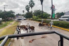 El impacto del huracán “Roslyn” por Nayarit dejó dos personas muertas, mientras que en Jalisco reportaron saldo blanco. En Sinaloa hay caída de postes de luz y algunos puntos sin servicio eléctrico. En Durango hubo lluvias.