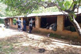 Un grupo de hombres armados asesinó a un comisario y su familia en la comunidad de Cuajilotla, perteneciente al municipio de Mochitlán, Guerrero