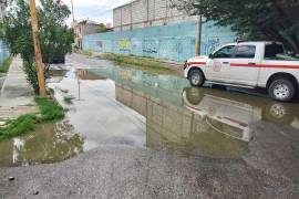 El director de Protección Civil y Bomberos de Torreón destacó la labor preventiva de limpieza en rejillas y bocas de tormenta.