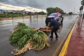 Elementos de seguridad retiraron palmeras y ramas que quedaron sobre vialidades tras el paso de la tormenta.