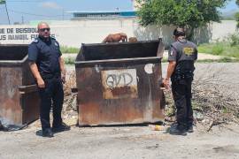 El recién nacido fue localizado por vecinos de la colonia Independencia, en Castaños, y trasladado para recibir atención médica especializada.