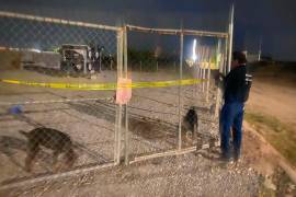 Multan a dueño de perros dóberman en Torreón por mantener a mascotas expuestas al clima