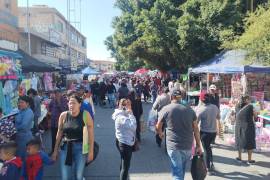 Se verifica que los vendedores cumplan con las condiciones y señalizaciones de sus permisos temporales.