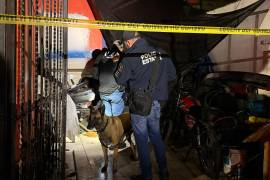 Durante el operativo, binomios caninos K9 apoyaron en la detección de droga al interior de la vivienda inspeccionada en Saltillo.