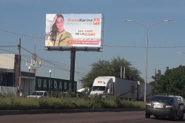 Celaya reunió fotografías y ubicaciones y presentó una denuncia formal el 15 de julio de 2025 ante el Instituto Estatal Electoral.