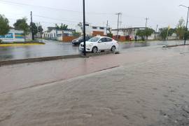 En distintas zonas como la carretera a General Cepeda, la colonia Federico Cárdenas y Quintas del Valle, vecinos reportaron ingreso de agua a viviendas debido al incremento del nivel de las precipitaciones.