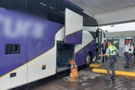 El binomio canino de la Guardia Nacional en plena acción, detectando sustancias ilícitas en la Central de Autobuses de Torreón, Coahuila.