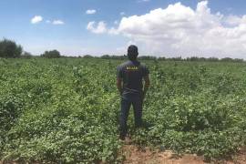 El joven fue privado de la libertad el 3 de febrero en Mazatlán, junto con sus dos hermanos y su cuñado.