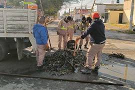 Personal de SIMAS utilizó un camión Vactor para retirar miles de taparroscas que bloqueaban el drenaje.