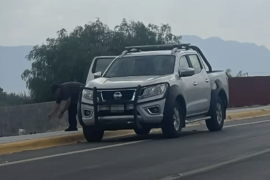 El momento en que la persona arroja al perrito de la camioneta al arroyo, quedó documentado en video. Los hechos se registraron en Géminis y Nazario Ortíz Garza.