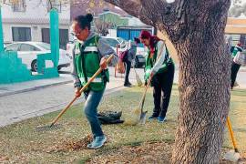 Brigadas de la Ola Verde trabajan en la limpieza y embellecimiento de plazas y calles en Ramos Arizpe.