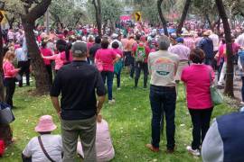 Integrantes de 13 organizaciones civiles, encabezadas por la agrupación Frente Cívico Nacional, se manifestaron frente a la sede nacional del Instituto Nacional Electoral (INE)