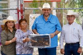 Las aves permiten a las familias contar con huevo para autoconsumo, fortaleciendo su alimentación.