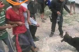 Los elementos policiacos de Castaños no solo se concretaron a ver cómo los pobladores masacraban al oso, sino que también participaron en la tortura.