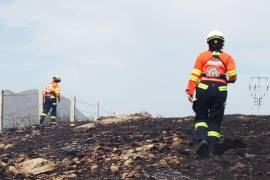 El incendio se registra a la altura del Jonuco por la autopista a Saltillo, informó Protección Civil del estado