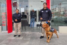 Despliegan plan integral de seguridad en Saltillo con vigilancia en mercados, bancos y colonias