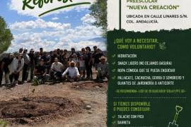La jornada se realizará este domingo en la Escuela de Educación Preescolar “Nueva Creación”, en la colonia Andalucía, con apoyo de voluntarios.