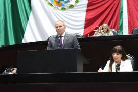 Theo Kalionchiz presentó la iniciativa ante el Congreso de la Unión.