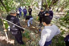 Los restos fueron encontrados en esta zona donde se registran enfrentamientos entre los cárteles de Sinaloa y Jalisco Nueva Generación | Foto: Especial