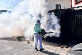 Gracias a las labores de fumigación de las brigadas municipales y estatales, se logró disminuir el número de casos de dengue en Saltillo.