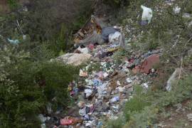El arroyo Las Víboras se ha convertido en un basurero que genera malos olores y riesgos de fauna nociva.