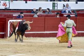 Presentará Morena proyecto para reformar la Ley de Protección y Trato Digno a los Animales en Coahuila, para que vuelvan los toros
