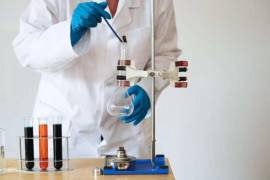 El director del consejo, Mario Valdés Garza, destacó la necesidad de implementar estrategias que acerquen la ciencia a más escuelas