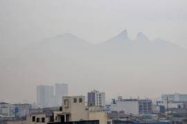 Explicó que el dióxido de carbono es considerado el principal gas de efecto invernadero, pero las emisiones siguen aumentando en el mundo.