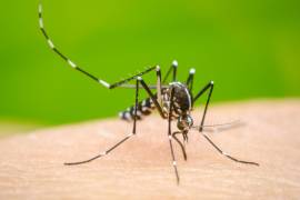 Autoridades de salud confirmaron el segundo caso de dengue de la temporada en la ciudad fronteriza.