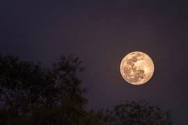 Las razones por las que las lunas de octubre son más bonitas, grandes y brillantes