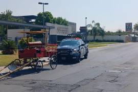 Un hombre fue detenido por policías municipales cuando maltrataba a un caballo que utilizaban como modo de tracción de un carretón, en Monterrey, Nuevo León.