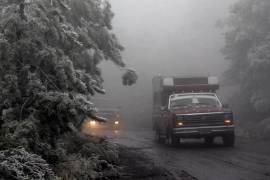 La Dirección de Desarrollo Rural apoya en acciones para cuidar a la comunidad del campo.