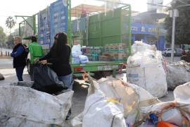 Personal de Medio Ambiente clasifica PET, aluminio y tapitas recolectadas en la campaña mensual.