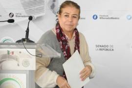 En el 2023, Margarita Valdéz, senadora de Morena, realizó una conferencia para pedir una disculpa a los padres de niños con cáncer luego de declaraciones polémicas.