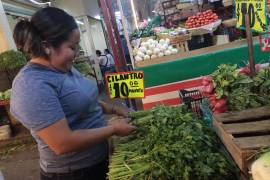 Entre los principales estados productores de cilantro están Puebla y Baja California, que concentran cerca del 68 por ciento de la producción nacional.
