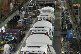 El próximo año la demanda de producción, tanto para el mercado de exportación como para el nacional, sufrirá bajas.