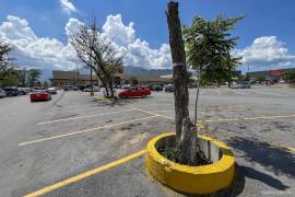 El acuerdo contempla la reposición de 33 árboles como medida de compensación.