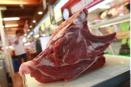 Canadá, México, Australia, Nueva Zelanda y Brasil son, en ese orden, los cinco principales proveedores extranjeros de carne de res de Estados Unidos.