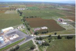 Esta cifra contrasta con el 4.2% logrado en 2025 y advierte sobre una generación de empleo casi nula en el campo mexicano.