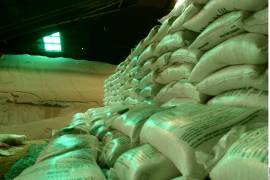 Las afectaciones principales se concentran en el maíz chihuahuense y tapatío, las hortalizas sinaloenses y las berries guanajuatenses.