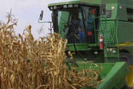 Especialistas opinan que la baja en la producción de granos responde a la eliminación de programas de apoyo al campo.
