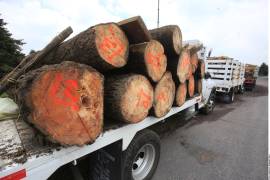 Entre las novedades de la propuesta destaca el incremento en las sanciones económicas, ya que las multas por infracciones ambientales, actualmente topadas en 15.7 millones de pesos, ahora podrán alcanzar un techo de hasta 847 millones de pesos.