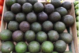 La violencia que aqueja a Michoacán y a diversas regiones del país mantiene a los ciudadanos en un estado de temor constante.