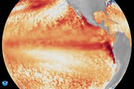 Fotografía satelital cedida por la NOAA que muestra la diferencia entre las temperaturas promedio de la superficie del mar en el ecuador del océano Pacífico tropical y la línea de referencia utilizada por el programa Coral Reef Watch, representada mediante diversas tonalidades de rojo y naranja para indicar temperaturas más cálidas.