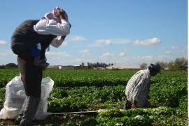 Productores agrícolas en Sinaloa están bajo el asedio del crimen organizado que los extorsiona y hasta les impone liderazgos en los módulos de riego.