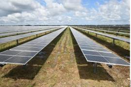 En los últimos seis años, México perdió 18 posiciones en el Índice de Transición Energética que elabora el Foro Económico Mundial (WEF, por sus siglas en inglés).