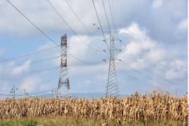 Un margen de reserva del 7% deja muy poco espacio para errores; cualquier salida inesperada de una planta grande o una línea de transmisión podría activar las alertas.