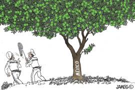 Cayó ‘El Limones’